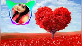 Dil mat tode re gujjar ka chora (3D Brazil mix new song )