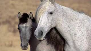 I'm Leaving on a Jet Plane