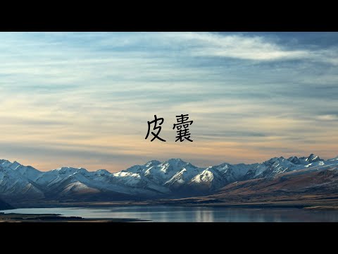 皮囊 - 蕭敬騰