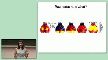 CCN 2019: Keynote KN-4 "Single-trial neural dynamics during novice and expert decisions..."