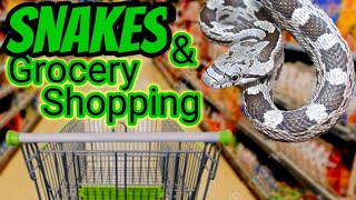 SNAKES & Grocery Shopping