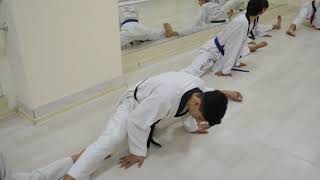 Taekwondo