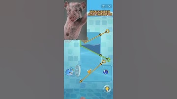 Gassy Run 3D - Gameplay Walkthrough Part 2 All Levels 9-15 (Android, iOS) #1288