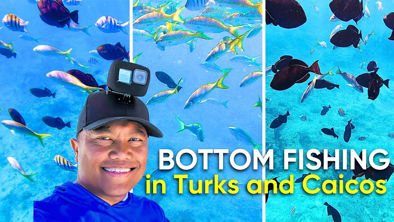Потрясающая донная рыбалка на островах Теркс и Кайкос | Водные развлечения на Кайкосе [2025]