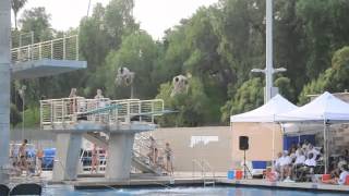 103c synchro on 3 meter