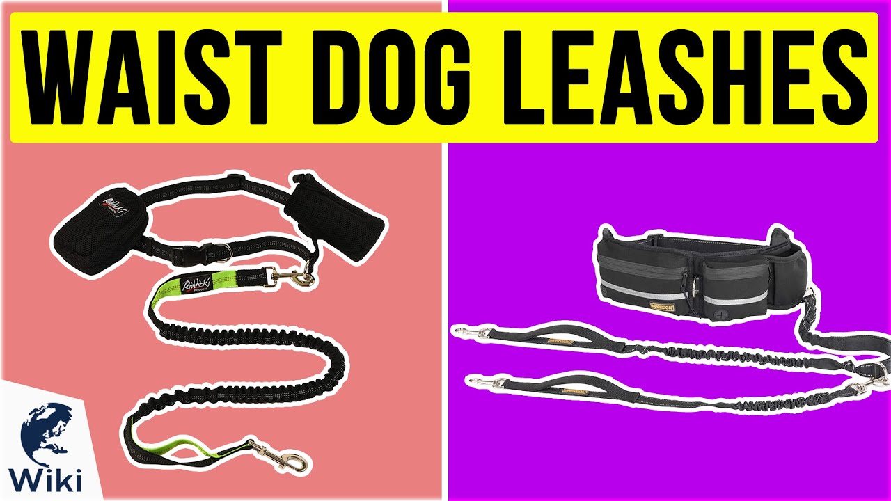 best waist dog leash