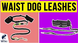 10 Best Waist Dog Leashes 2020