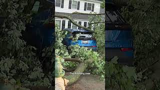Storms leave path of damage in DC area | NBC4 Washington