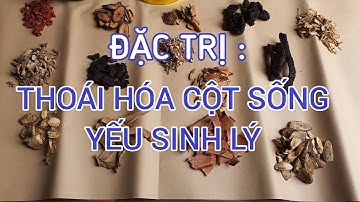 liệt dương, thoái hóa xương khớp đã có cây thuốc quý này giúp đỡ