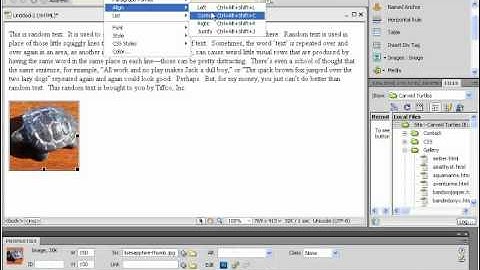 Dreamweaver CS5 Tutorial Absolute Positioning versus Relative Positioning Adobe Training Lesson 9.4