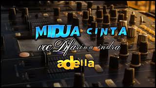 Midua cinta (Salira ayeuna) -Difarina indra Adella (lirik lagu)