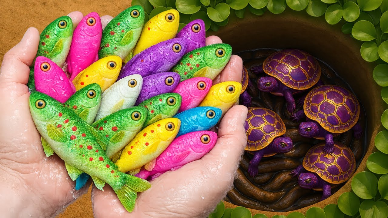 Catch Colorful Aquarium Creatures in Surprise Balls — Guppy, Koi Fish, Cute Turtle, Molly Fish,Snail