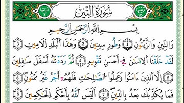 سورة التين من مصحف التجويد - توفيق النوري -