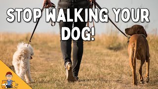 Stop Walking Your Dog (and do this instead...) by Our Pets Health 343 views 2 months ago 30 minutes