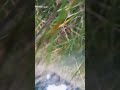 #reallife #cool #schön einfach mall die Natur genießen liken und abonnieren Kuss an alle