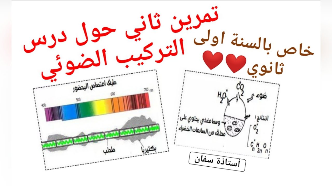 حل التمرين الثاني حول التركيب الضوئي ✌ تابع للمراجعة للفرض والاختبار ♥