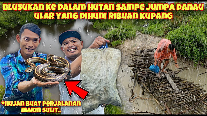 TEROBOS HUJAN DALAM HUTAN BERBURU RIBUAN KUPANG DI DANAU ULAR