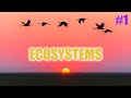 Ecosystems and Interactions Quiz