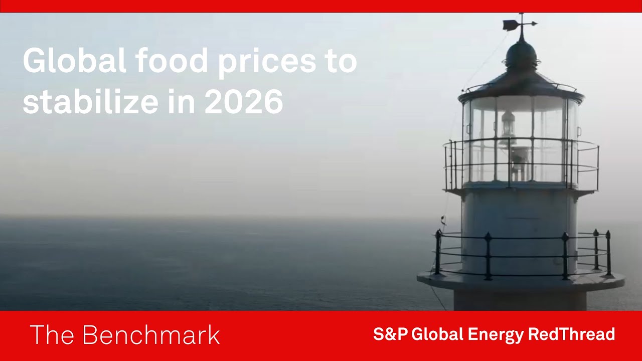 Global food prices to stabilize in 2026
