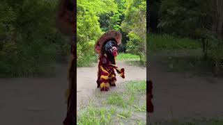 barongan kejebur got wkwkw😂😂-like dan subscribe ya🥰