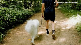 Pet-friendly vacation spots in Illinois for Spring Break