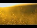 432Hz Universe Frequency | Deep Relaxation | 3 Hours Deep Sleep Music