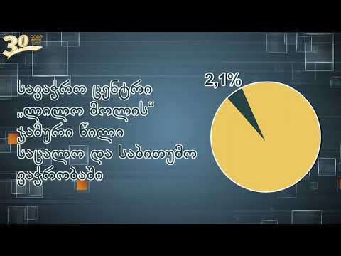 \"ლილო მოლის\" წვლილი საქართველოს ეკონომიკაში