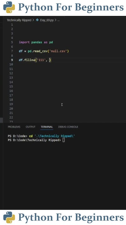 how-to-fill-empty-values-in-a-csv-python-for-beginners-youtube