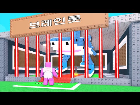 [로블록스] 브레인롯 훔치기!!!!! 하나만 줘봐 같이 하자!!!!!!