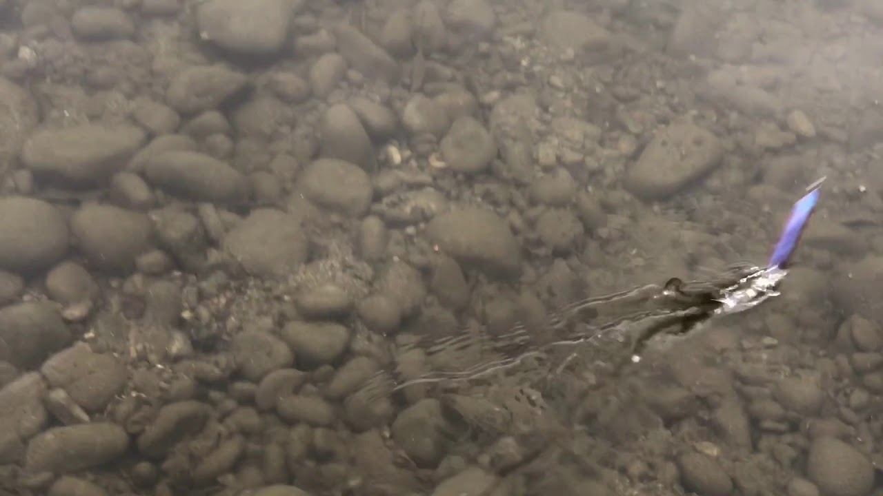 ニシネルアーワークス パユート85S | ClearSky