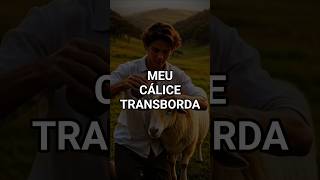 Meu Cálice Transborda 🙏 | Salmo 23:5 #shortscristão #deustemumapalavrapravoce #fé
