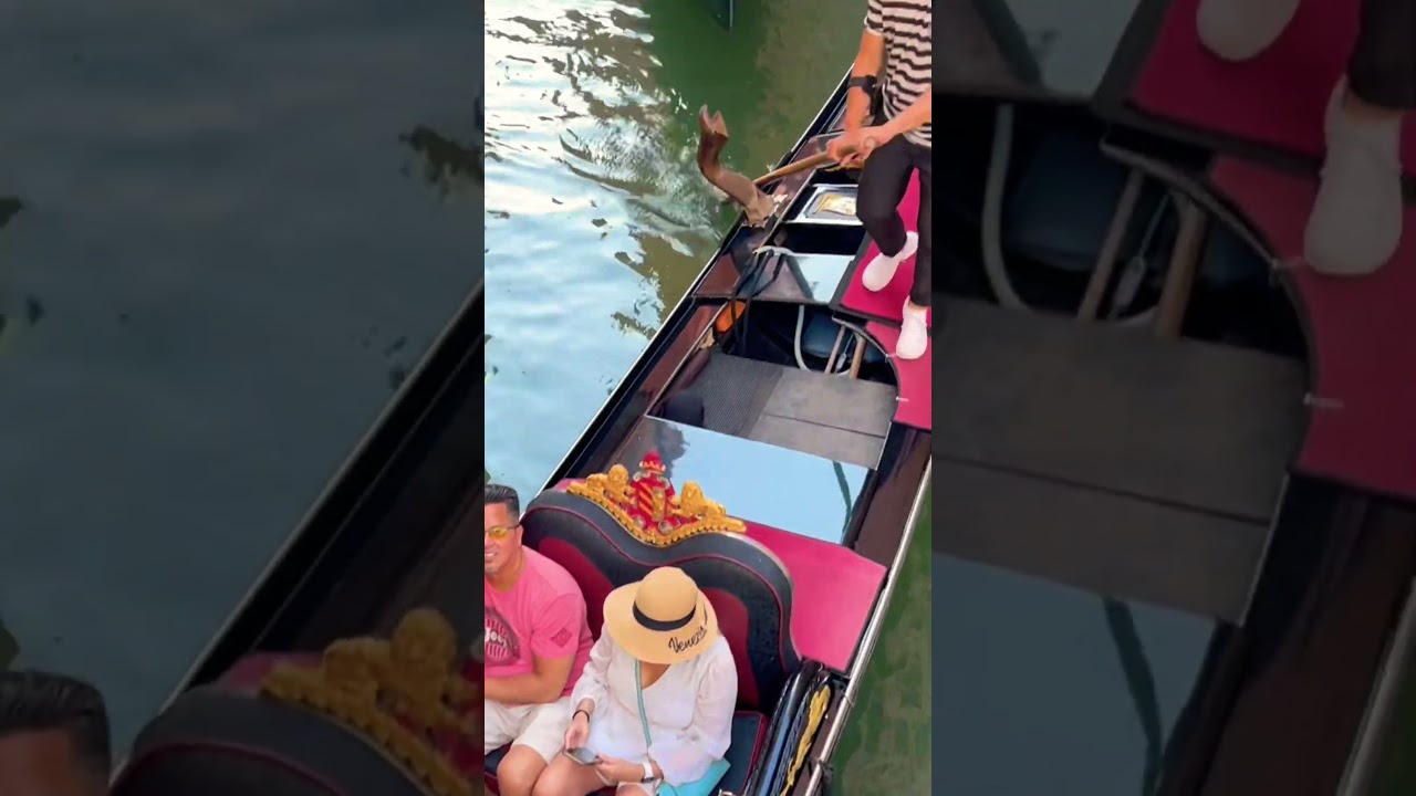 This is why tourists  love ❤️ Venice, Italy 🇮🇹