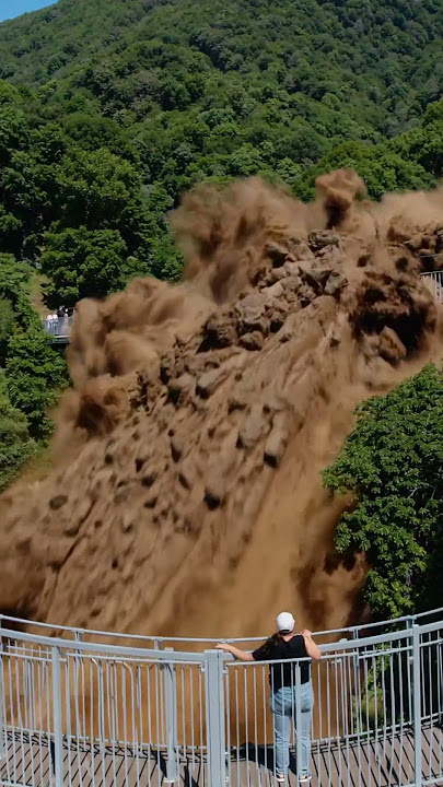This Mudslide Must Have Taken Them by Surprise!