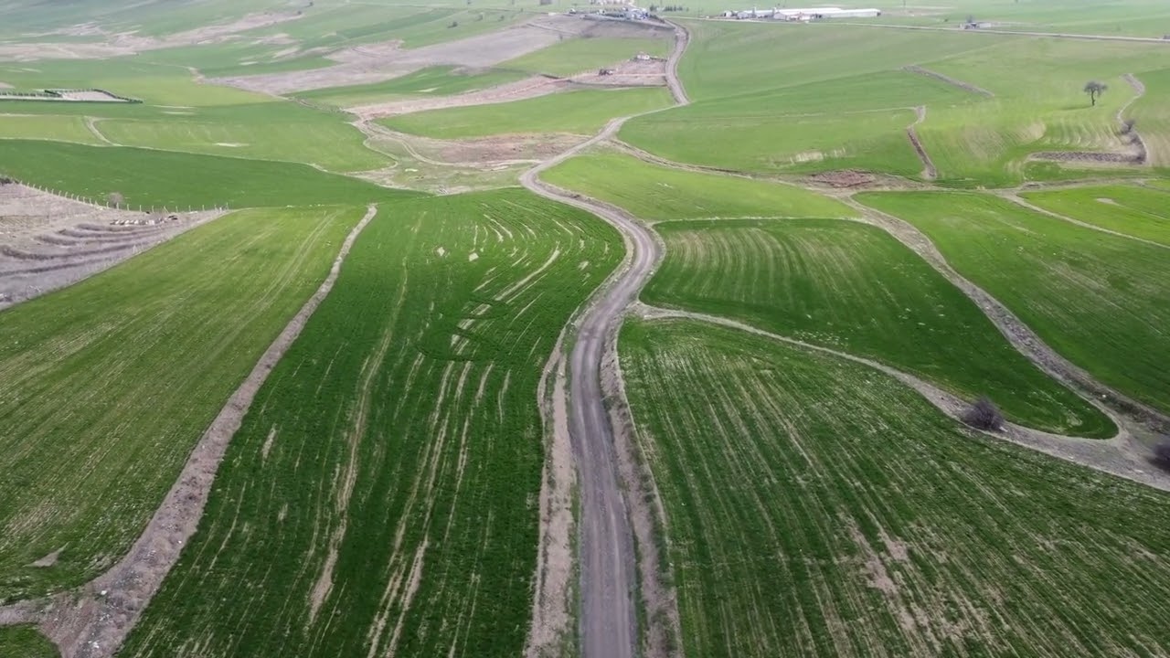 Clean up and Matte paint project 