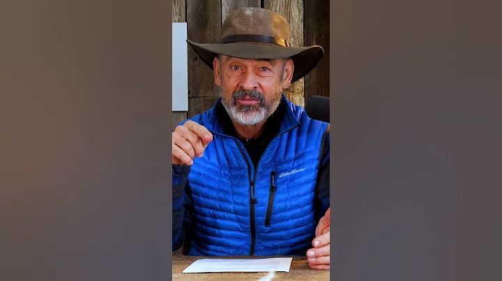 Best Optics Power For Hunting