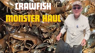 CRAWFISH, Epic Catch