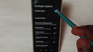 Redmi 13/13 Pro : Enable / Disable Developer Options