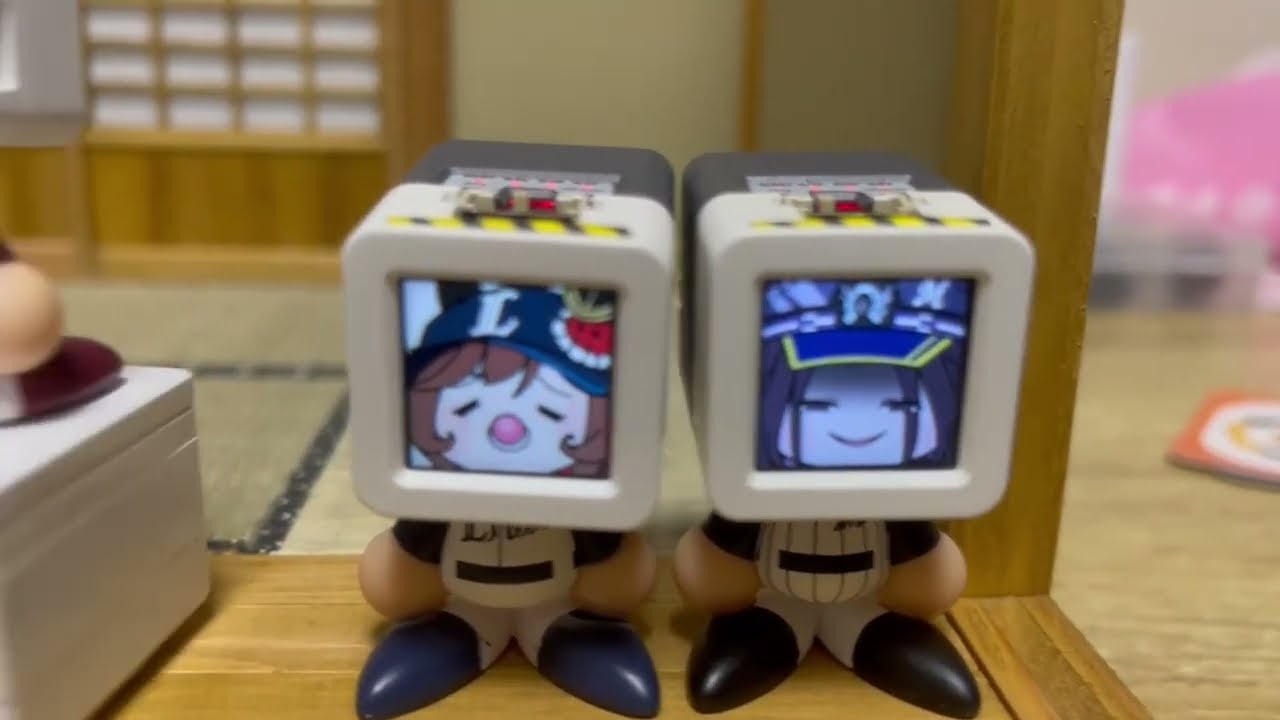 たぬき - YouTube