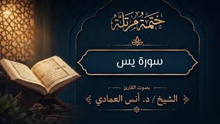 الختمة المرتلة | للقارئ الشيخ أنس العمادي | سورة يس