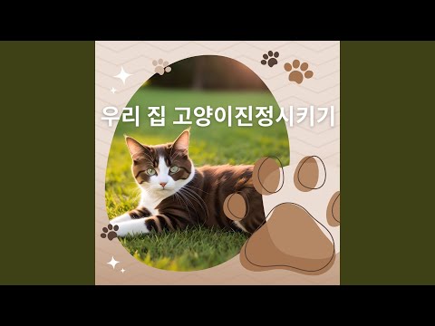 Guarda 차분함과 안락함 su YouTube