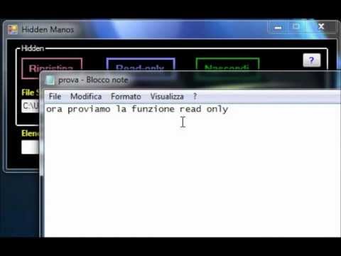 Visual Basic 2010 Hidden MaNOs