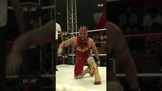 Put on your dancing boots, it's time for LUCHA PARTAYYY!!