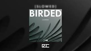 Hoju - Birded Slowed