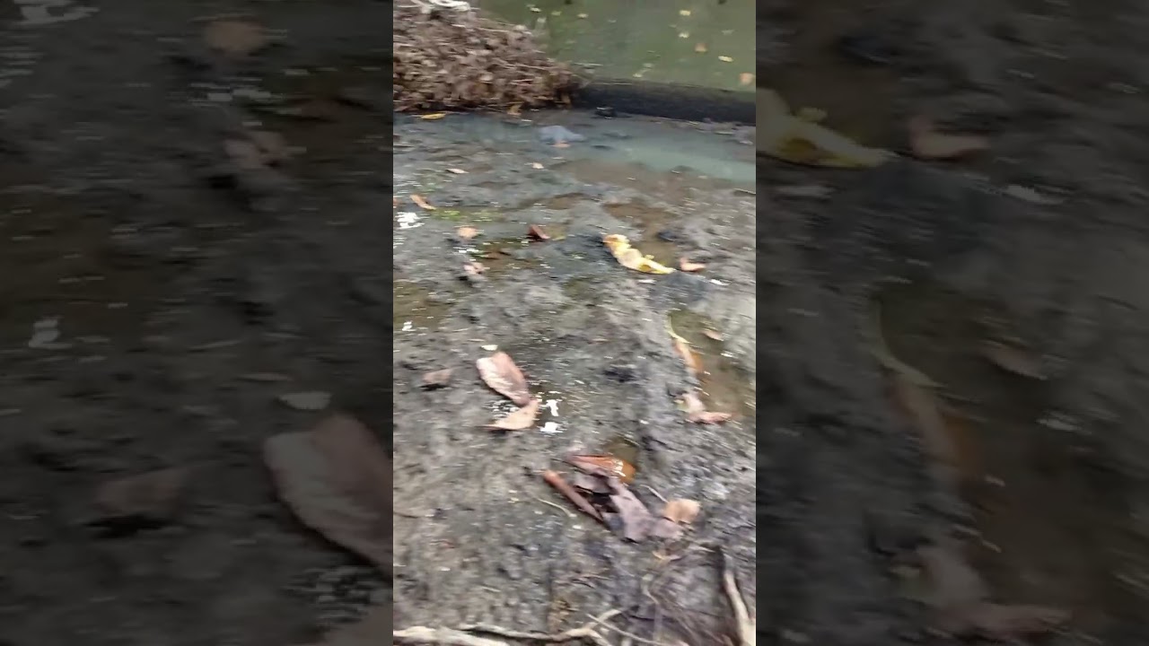 Nature Welcome to Cabusao