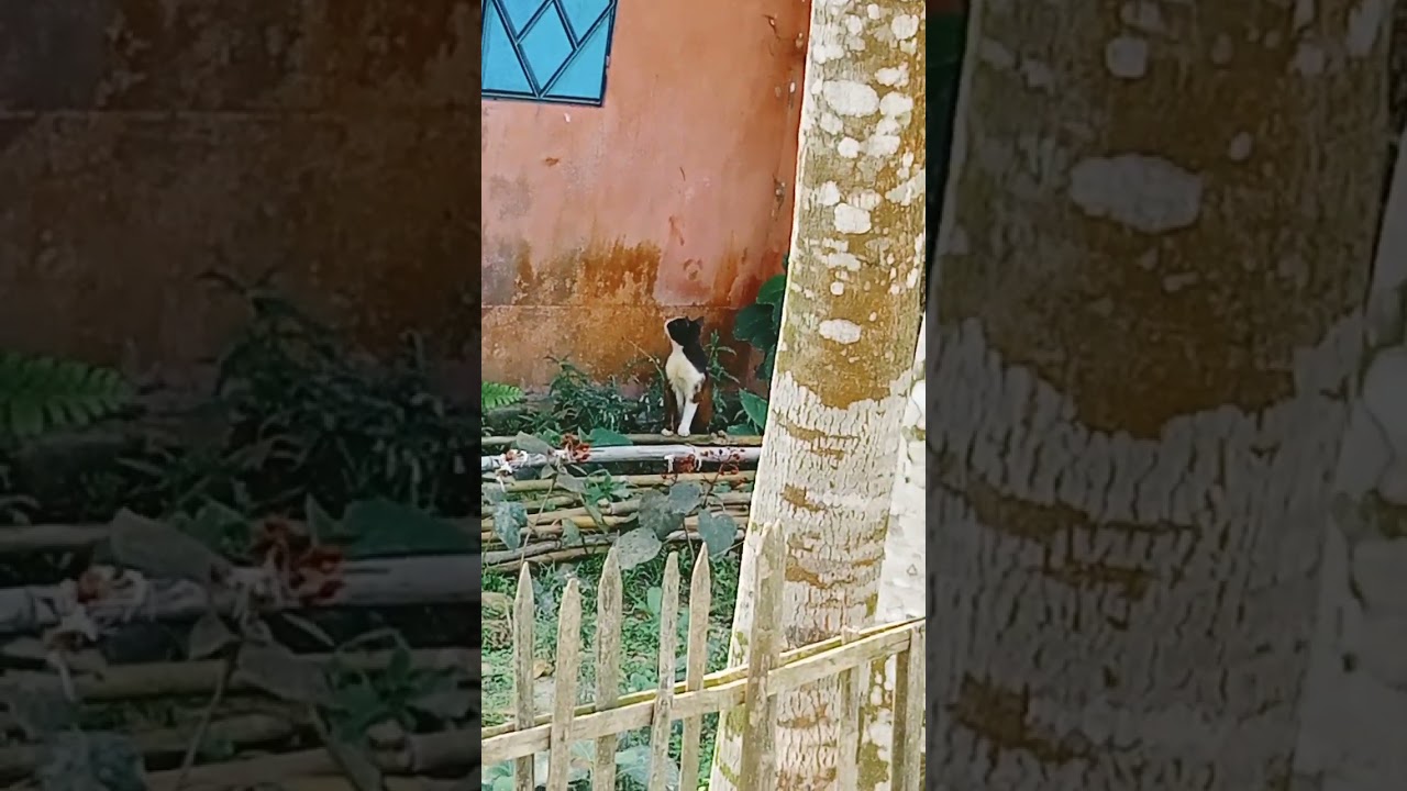।।হাসান কম্পিউটার।।