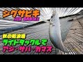 【防波堤】ジグサビキ『ライトタックルでアジ・サバ・カマスを釣る！』後半戦(次回)はエギングです！