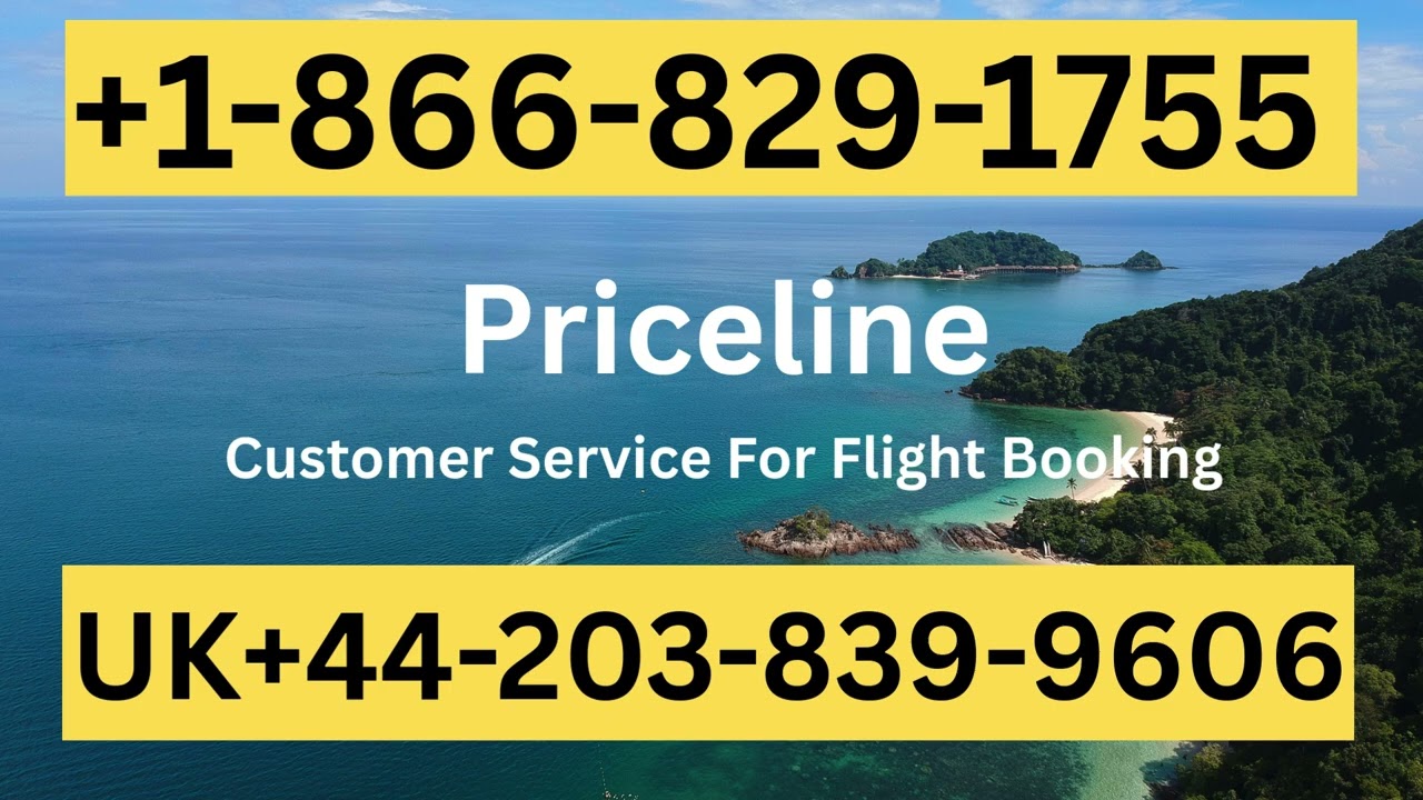 Priceline Customer Service: How to Contact Priceline | Priceline® Customer Service 24/7 Available