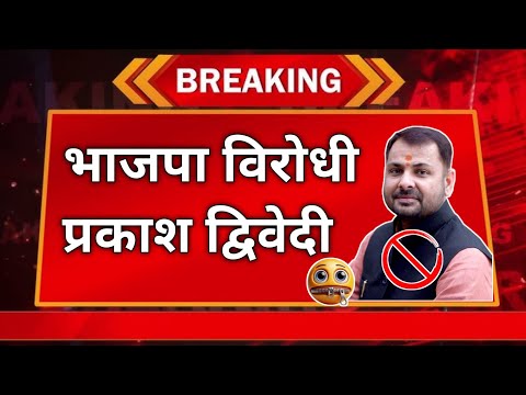 भाजपा विरोधी प्रकाश द्विवेदी | संगठन का विरोध कर रहे सदर विधायक प्रकाश द्विवेदी बांदा | #modi #yogi