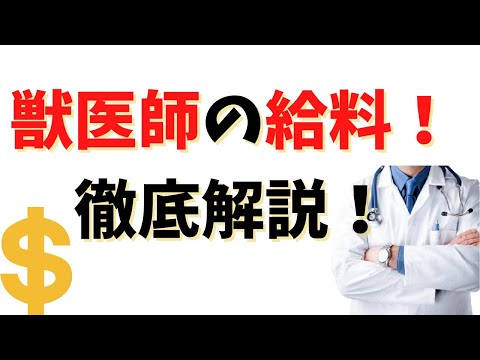 獣医師の給料ってどのくらい？1年目の獣医師のリアルな給料を徹底公開！！