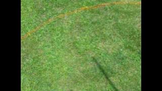 HUGE SUN DIAL sundial in Backyard